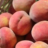 Peaches