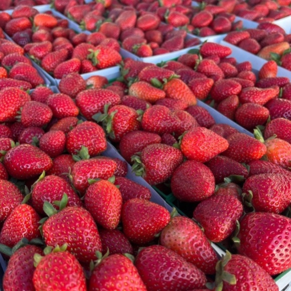 Strawberries