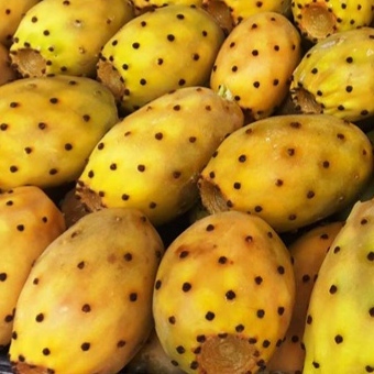 Barbary Figs
