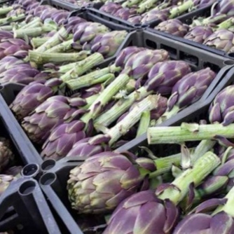Artichoke
