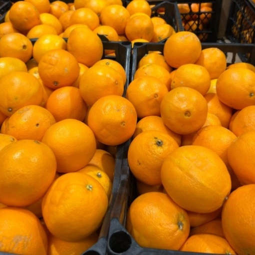 Oranges