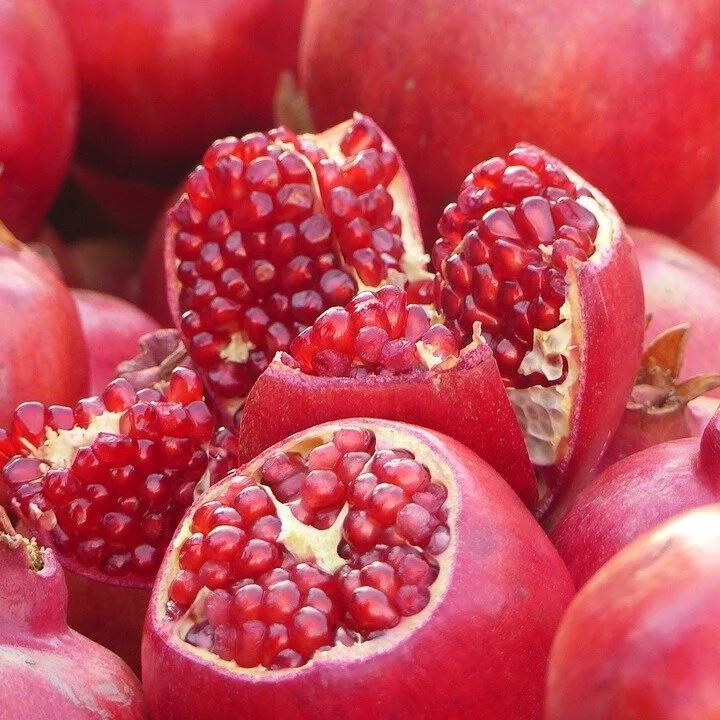 pomegranate