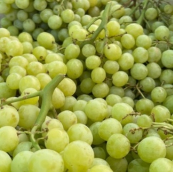 Green Grapes