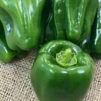 Green Peppers